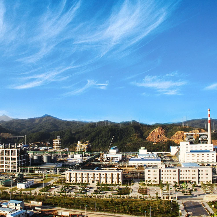 
Phosphorus Content 18% DCP Livestock Feed Supplement Di Calcium Phosphate 