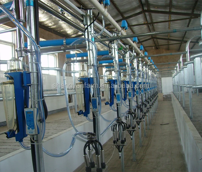 Flow meter milking parlor for dairy farm milking with automatic cluster remover