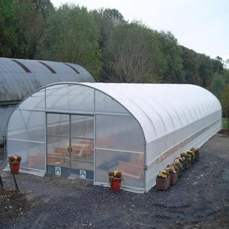 single film span Uv Protection Plastic Greenhouse for vegetables