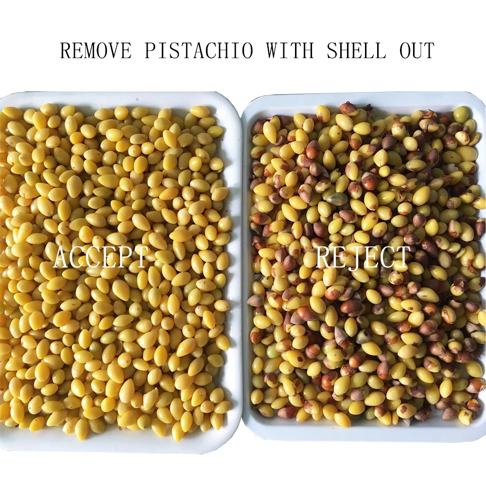 Pistachio Processing Machine Nuts Sorter Pistachio Sorting Machine