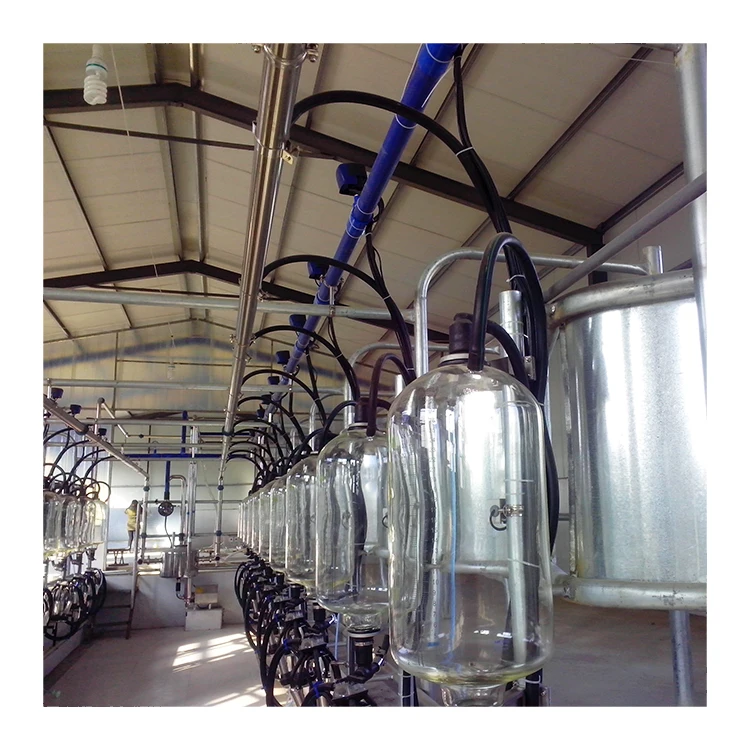 Hot sale automatic milking system cow milking parlour