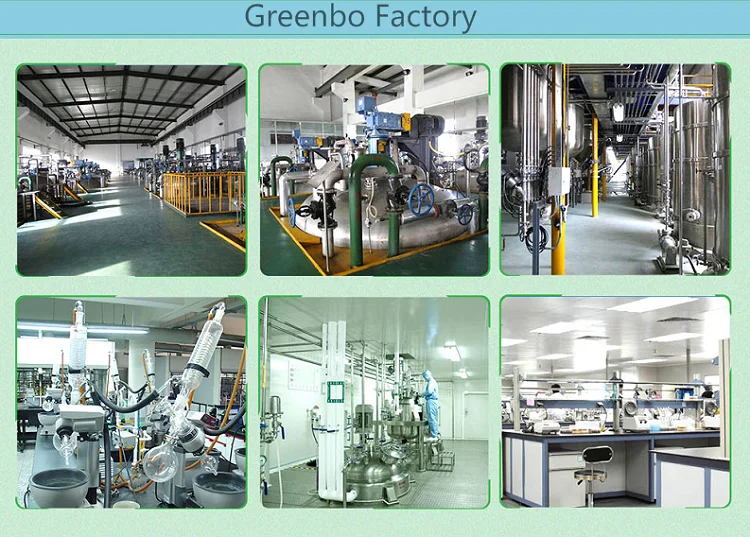 
ISO and REACH verified producer supply High Purity CAS: 2880-58-2 METHOXYBENZOQUINONE 