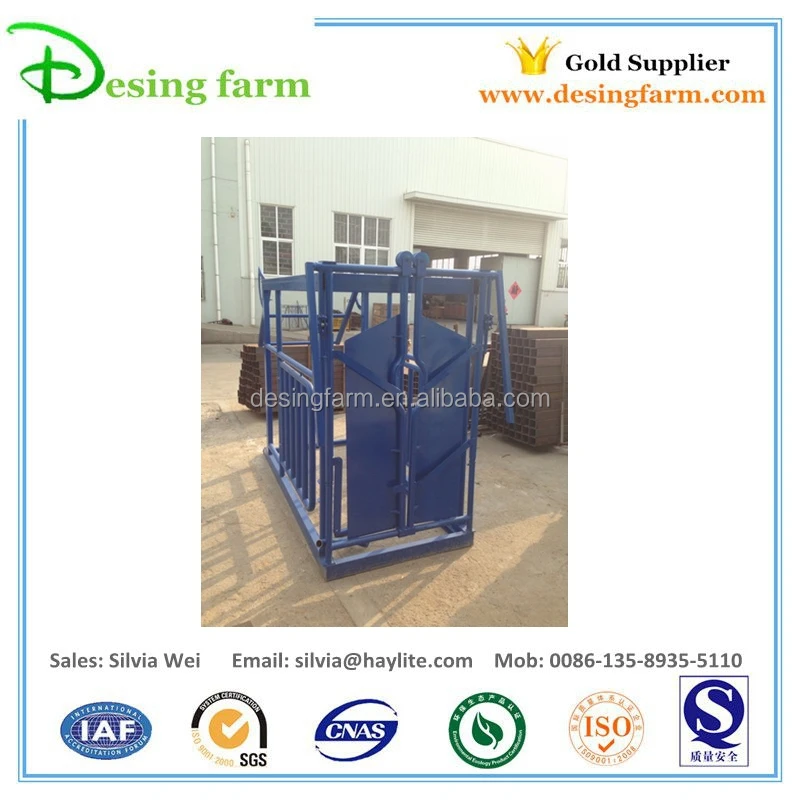 livestock equipment cattle cow dairy squeeze chute crush crate with weighing scale