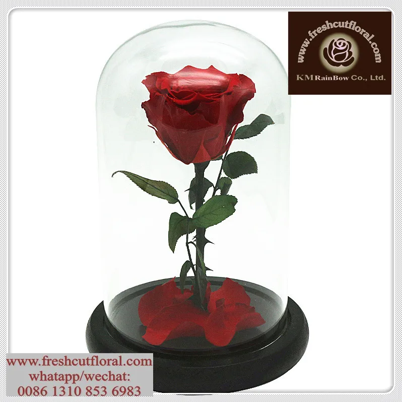 Run-After Undying Preserved- Rose Flowers Sent Out Four Seasons