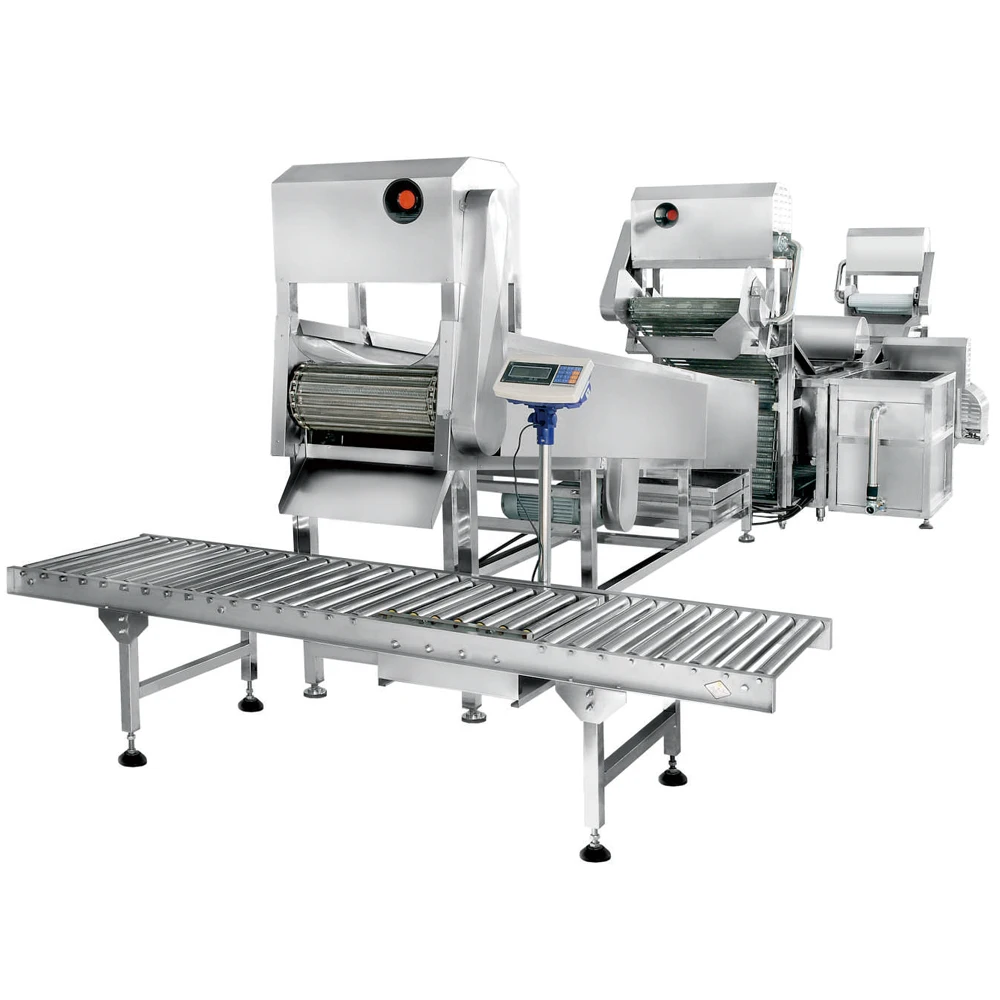 
XYXC-C11 Fast food kitchen machine vegetable fruit processing line checking washing cutting weighting pre-treating machineries 