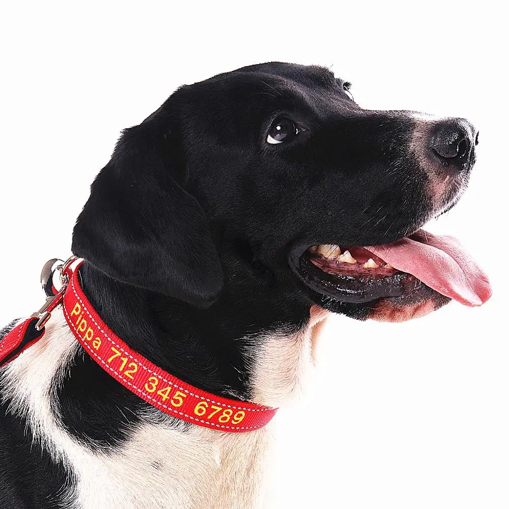 Personalized ID Collars with Pet Name and Phone Number, Embroidered Fabric Polyester Nylon Dog Collar