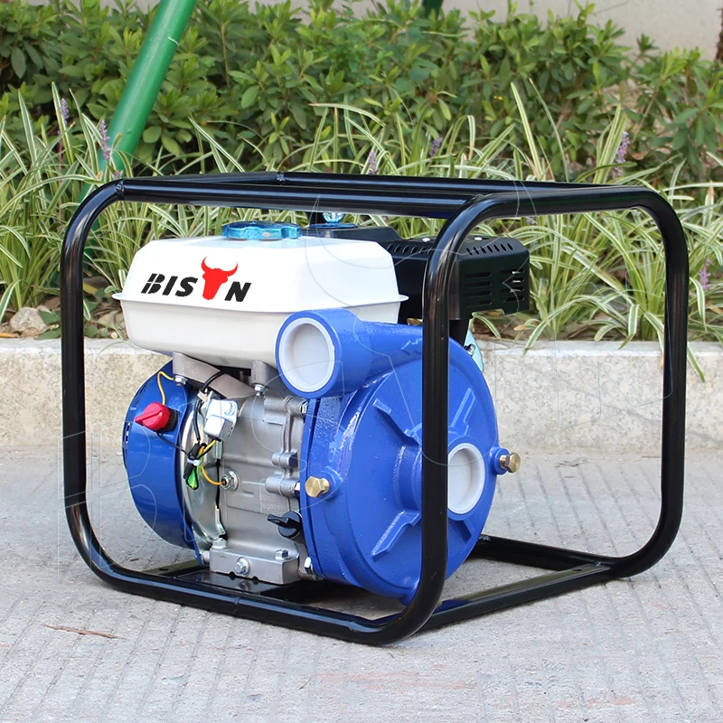 BISON(CHINA) BS20I 2 Inch High Pressure Gasoline Fire Water Pump Suppliers