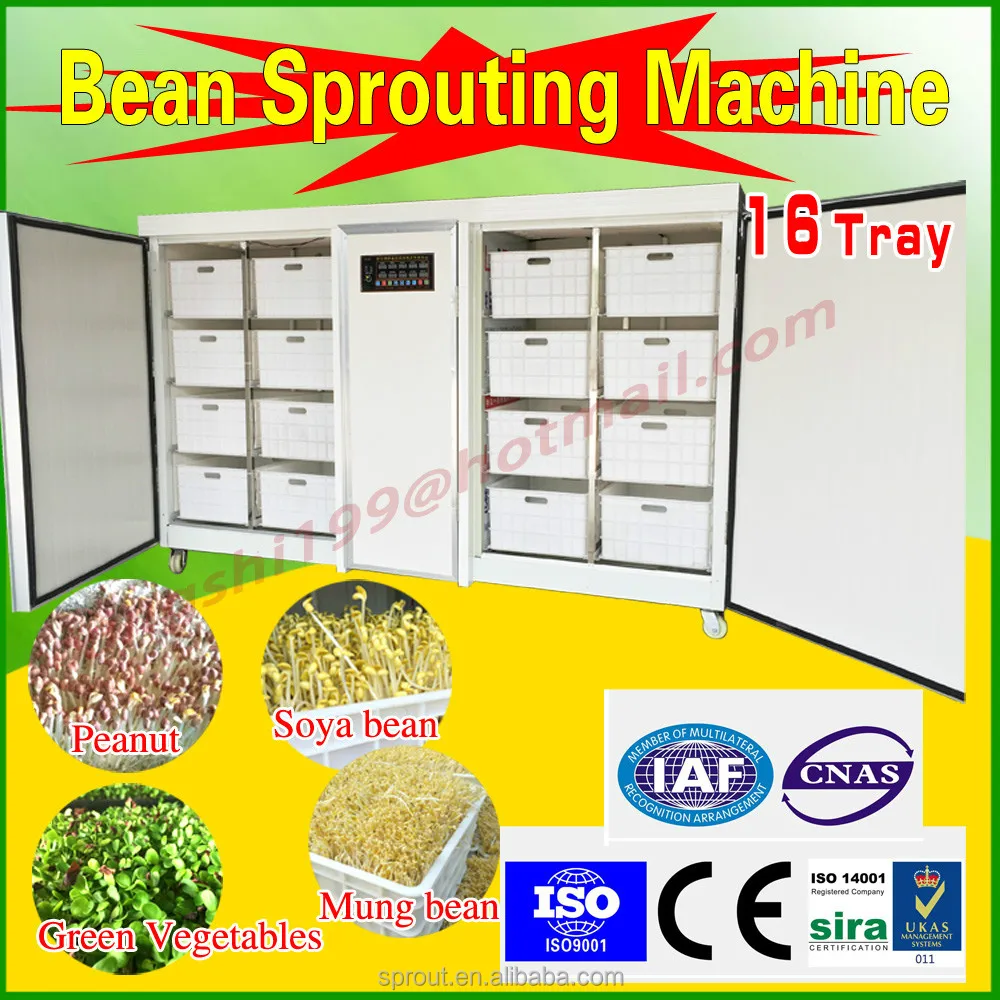 
China Automatic bean sprouts machine, silkworm bean, black bean sprouts making machine 