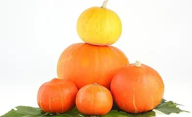 100% Chinese factory supply organic shine skin pumpkin seeds