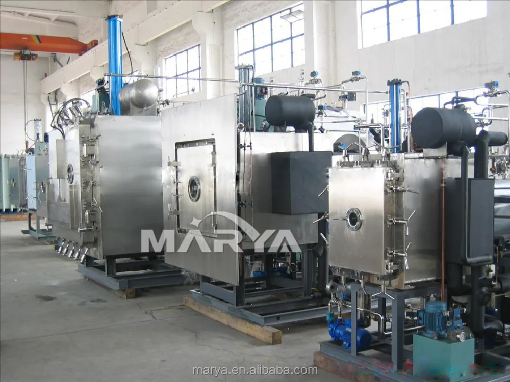 High Quality Food Vacuum Freeze Drying Equipment