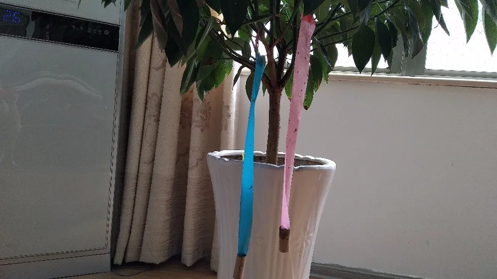 BSTW BV Certififcation Wholesale stickynon toxic fly trap