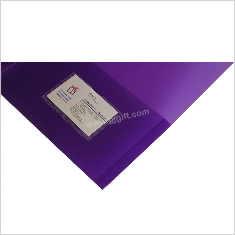 two double Card Holder cheap Printing PP A4 poly School plastic pockets file Folder