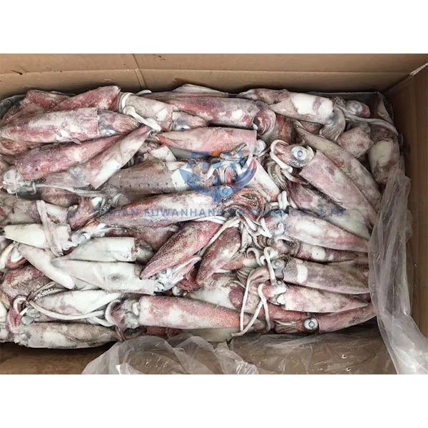 
Frozen squid wild caught loligo squid whole round 