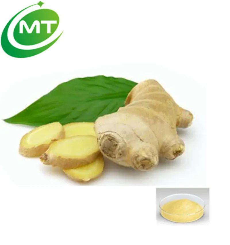 
Good flavor hot sale Instant Ginger Extract Powder 