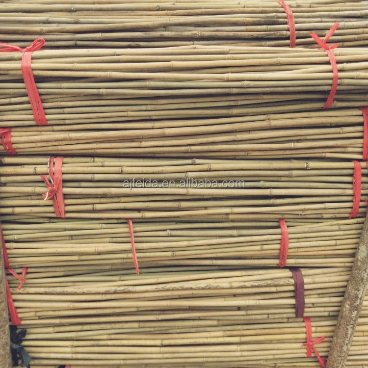 large number of wholesale agricultural bamboo