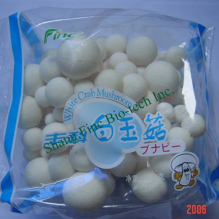 Finc fresh Soilless Culture oyster mushroom farming