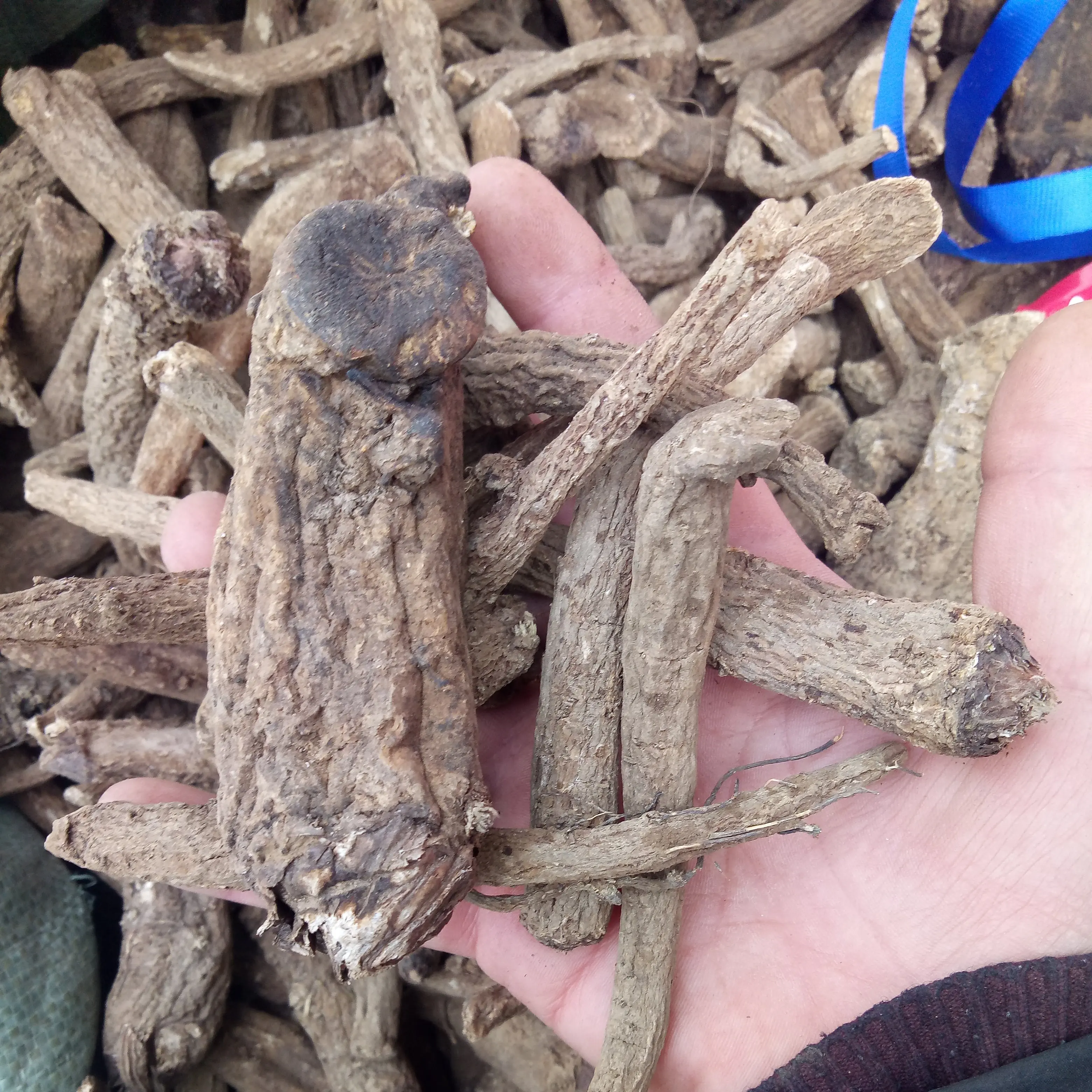
Natural dried big size low pesticide Costus Roots for sale 