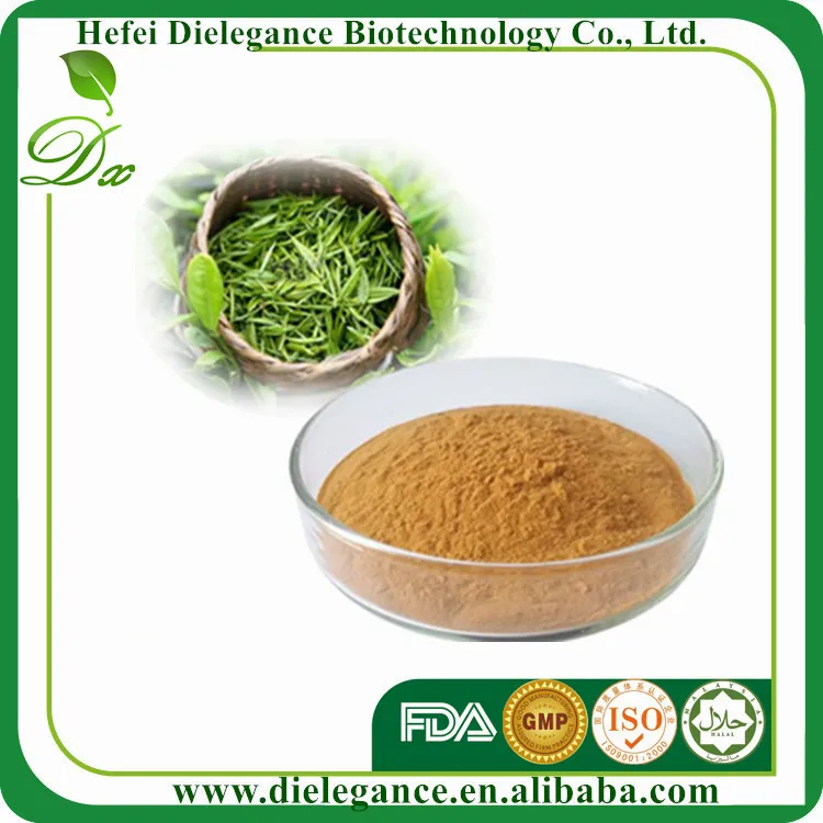 100% Natural and Pure Green Tea Polyphenole Extract