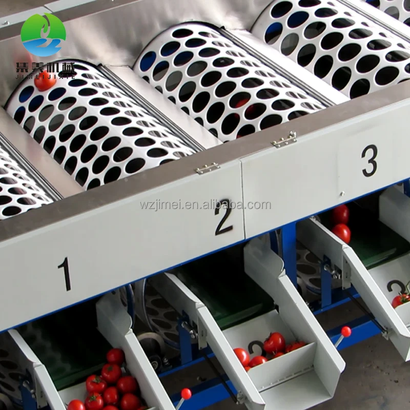 
Automatic fruit Citrus tomato sorting machine / selection machine 