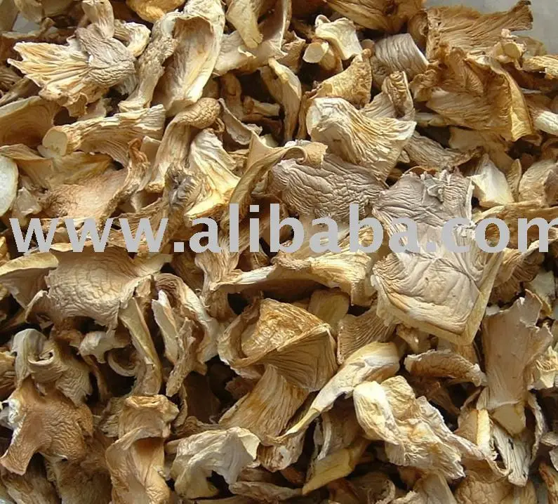 
DEHYDRATED OYSTER MUSHROOM 
