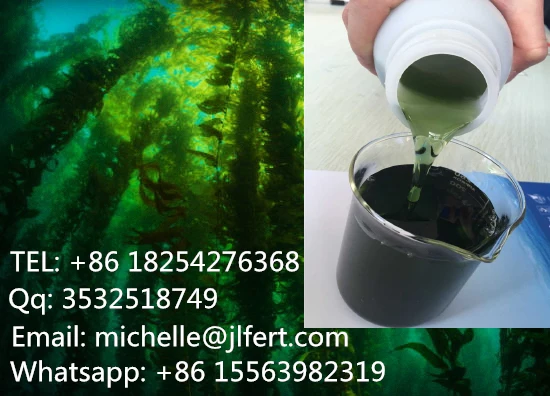 Green Color Algae Extract Liquid Agriculture Nutrient Gardening Nutrient Horticulture