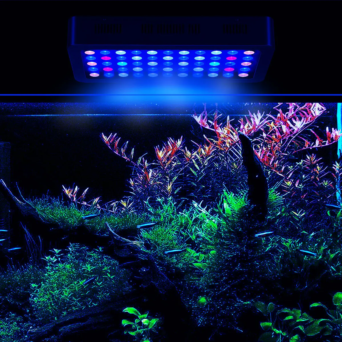 2018 Wifi app intelligent control 165W full spectrum blue red led coral reef  lighting led aquarium light