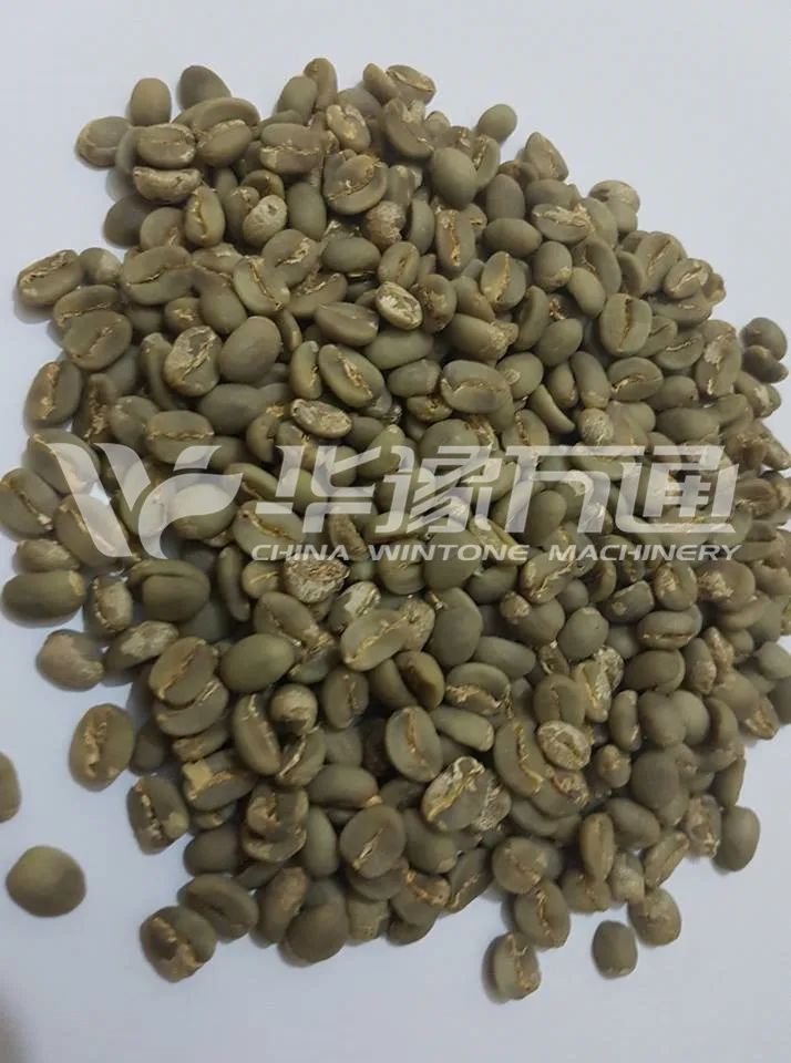 Линия для очистки кофейных какао-бобов по европейскому стандарту