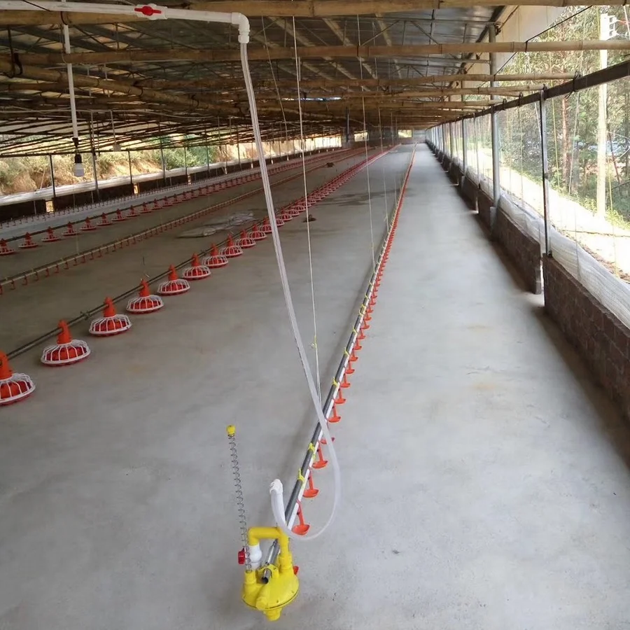 
Automatic Broiler floor feeding drinking system 