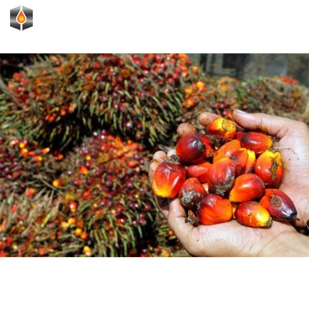 palm oil processing line, palm oil refining machine, palm oil production line 10 tons/hour