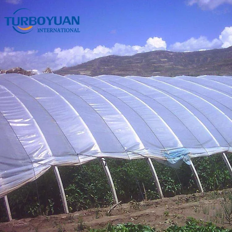 UV resistant agricultural shed plastic film / agriculture PE poly greenhouse cover for sale