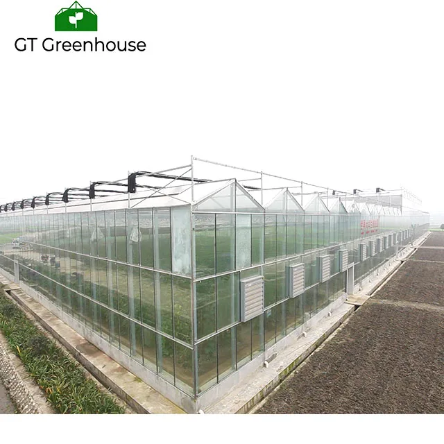 Agricultural Used Victorian Polycarbonate Greenhouse Equipments for Sale