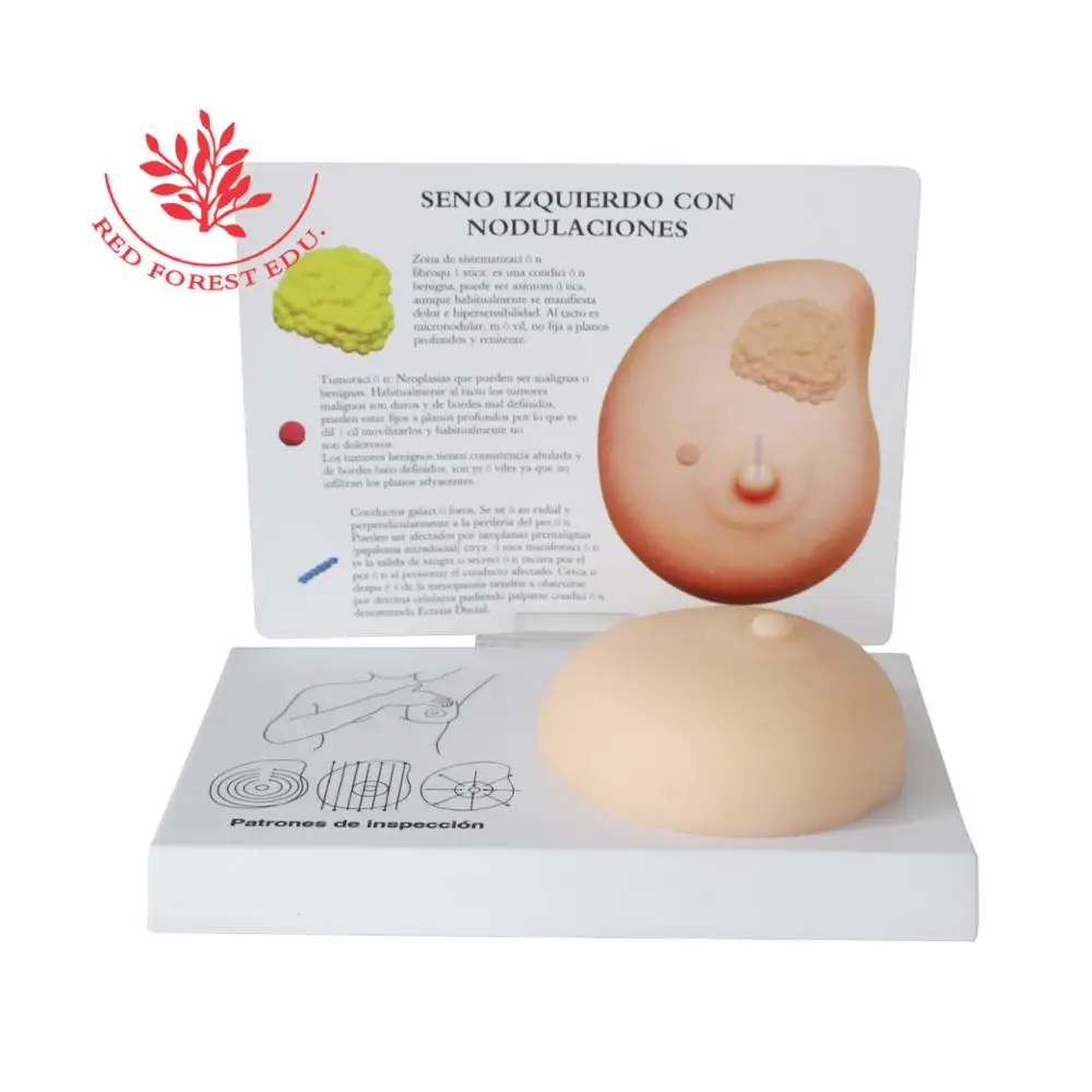 Breast Examination Simulator Milk Guidance Advanced Breast Nursing Practice Model Female Breast Model