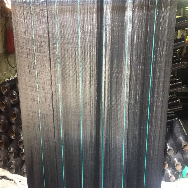 2022 high quality thailand  weed control mat for blueberry