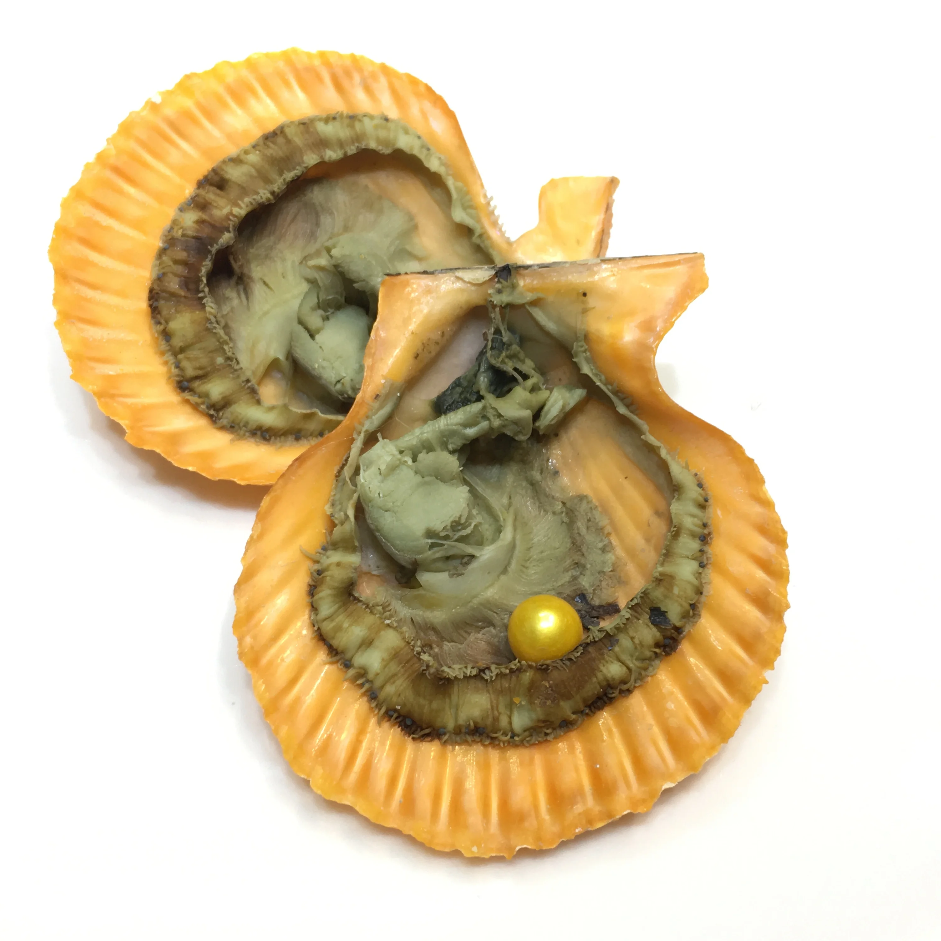 
Single, AAA grade 8-9mm mix 17 colors round pearls, 1 pearl in 1 red oyster shell, be packed in individual vacuum 