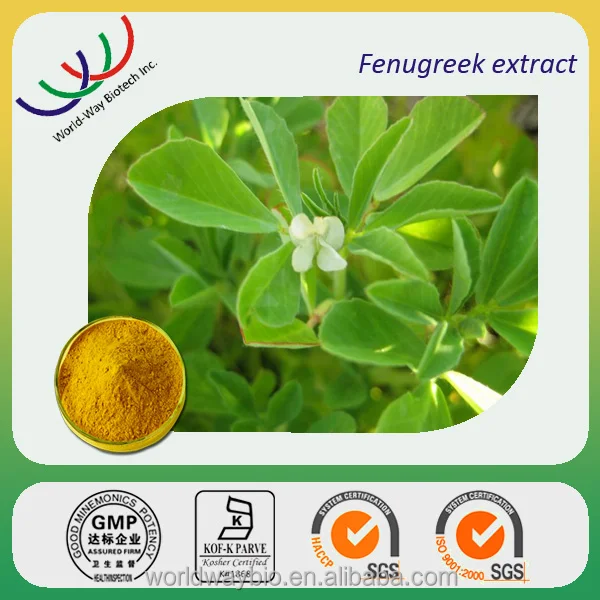 HACCP China supplier hot sale 20% 4-hydroxy isoleucine Common Fenugreek Seed, high quality trigonella foenum-graecum extract