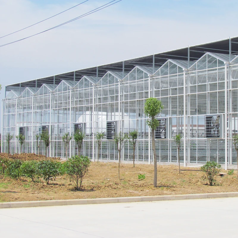 
Multi-span double-layer hollow glass cover strawberry greenhouse for sale 