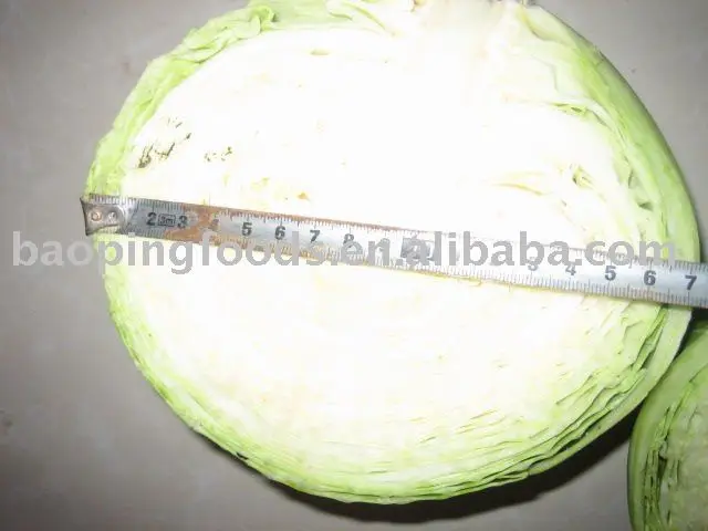 
small round fresh cabbage 