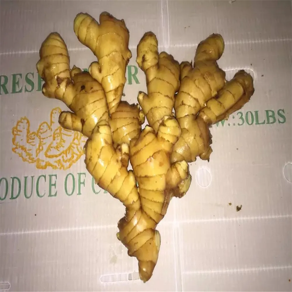 
Carton fresh ginger mesh bag fresh ginger 