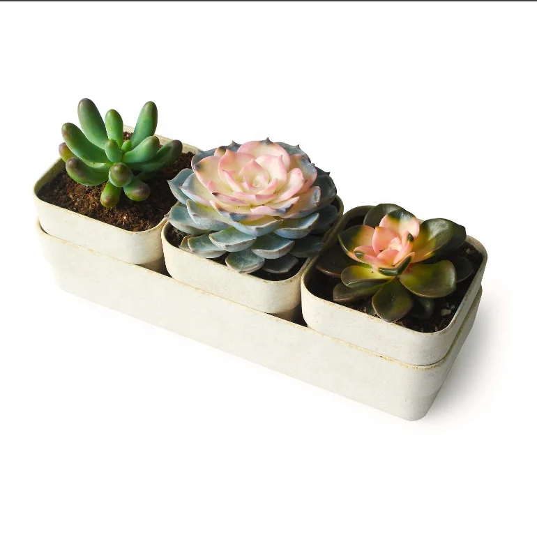 Popular design biodegradable bamboo fiber flower pot with tray