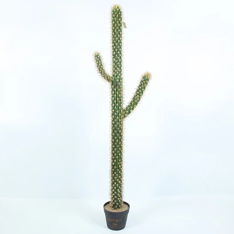 Supplier Artificial potted Decorative plants outdoor simulation cactus