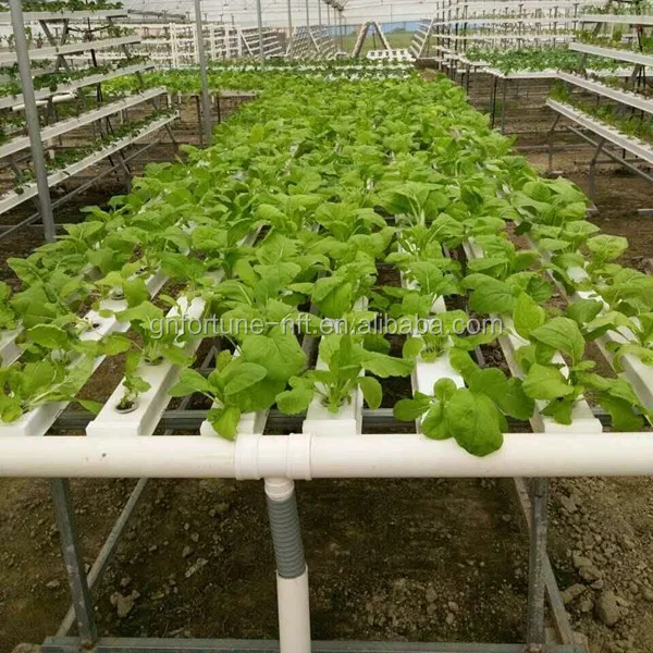 vertical hydroponics grow kit wholesale pvc hydroponic system