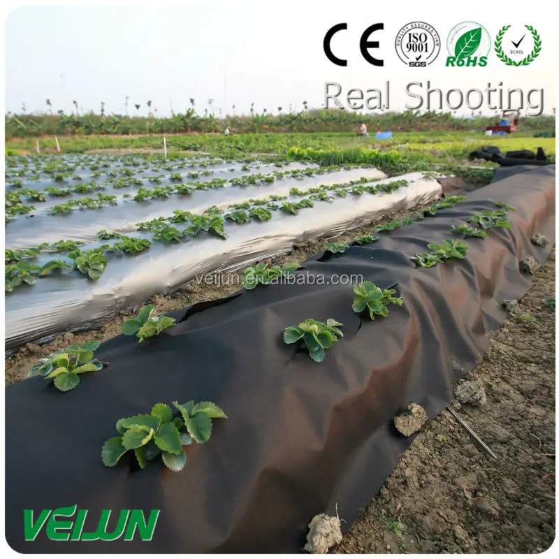 UV treated virgin biodegradable / ecofrindly non woven black weed mat