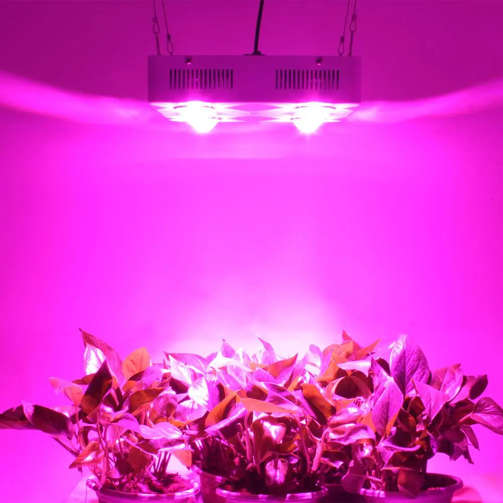 Wholesale best full spectrum led grow light with cooling fan 600w indoor plant grow light