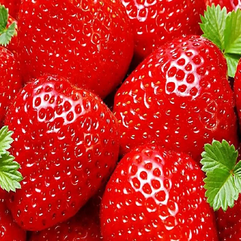 Зеленые, здоровые фрукты, замороженная клубника с нашей собственной фабрики