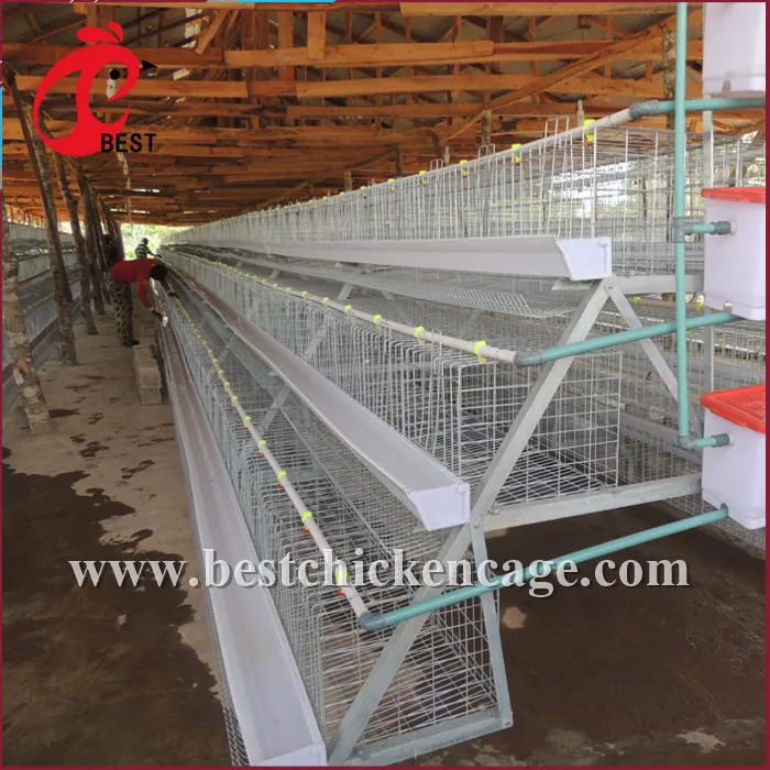 Direct Factory Metal Chicken Cage for Sale for Wholesales