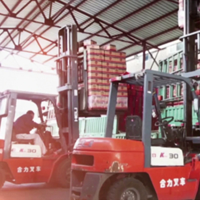 
Hot sale Fast Fermented active Instant baking dry yeast in Turkey 