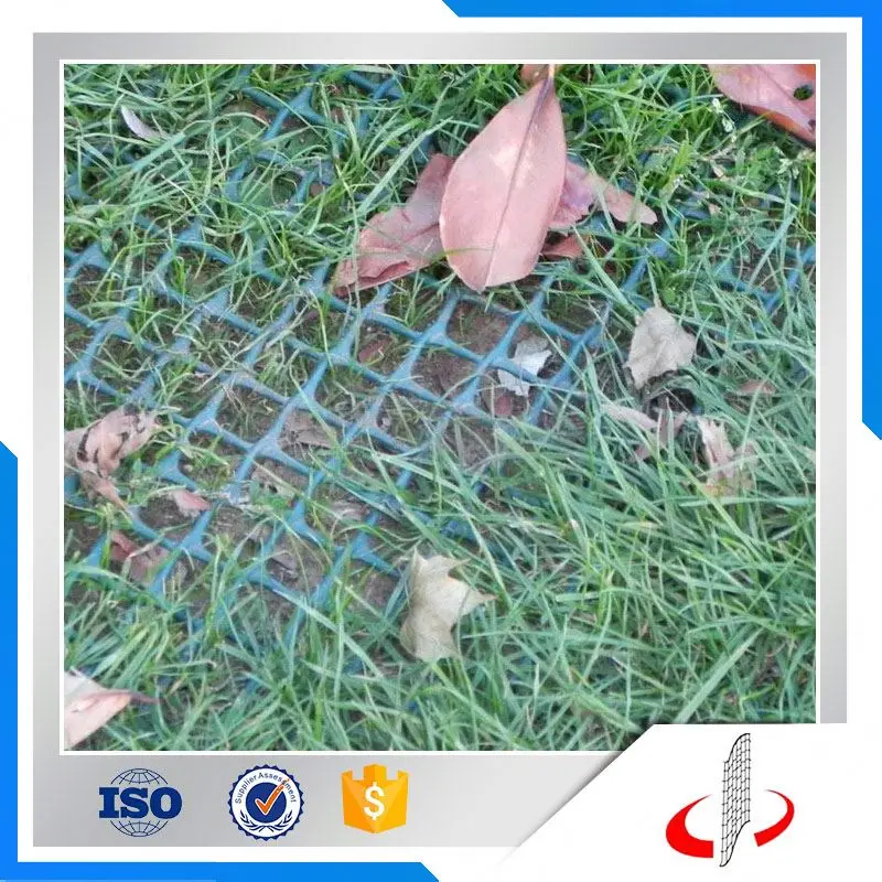 Plastic Net For Glass Turf Reinforcement