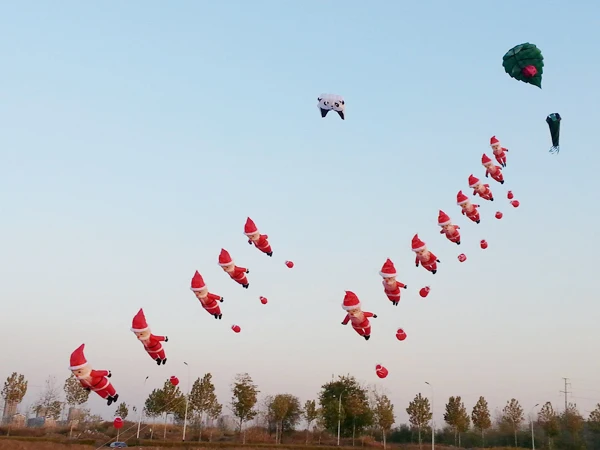 Chinese 10sqm panda shape nylon inflatable pilot kite