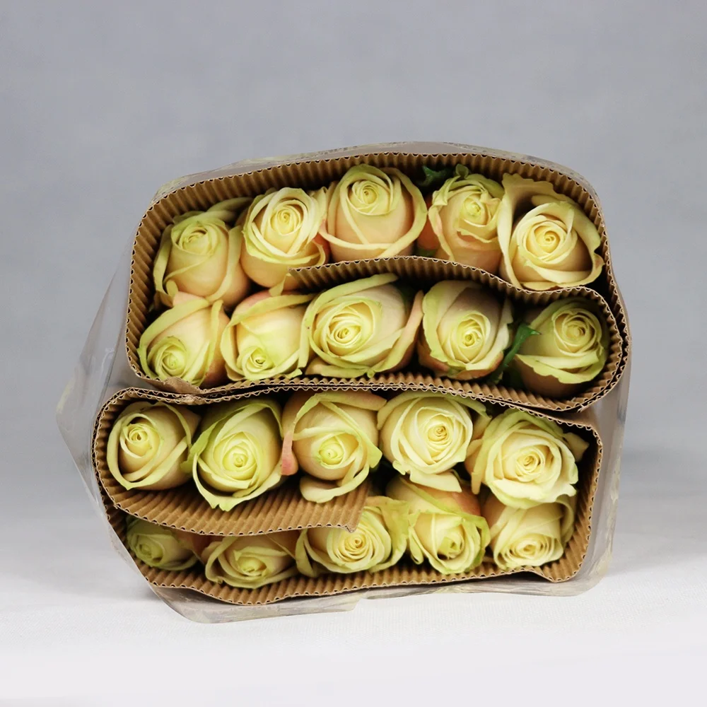 Professional Chinese Flower Supplier Various Color Fresh Cut Roses