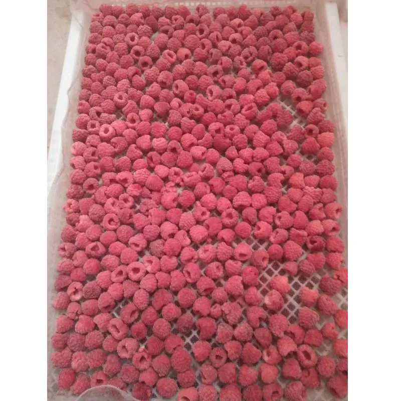 
new season good quality good price Frozen Raspberry whole IQF Raspberry whole Individual Quick Frozen Raspberry 